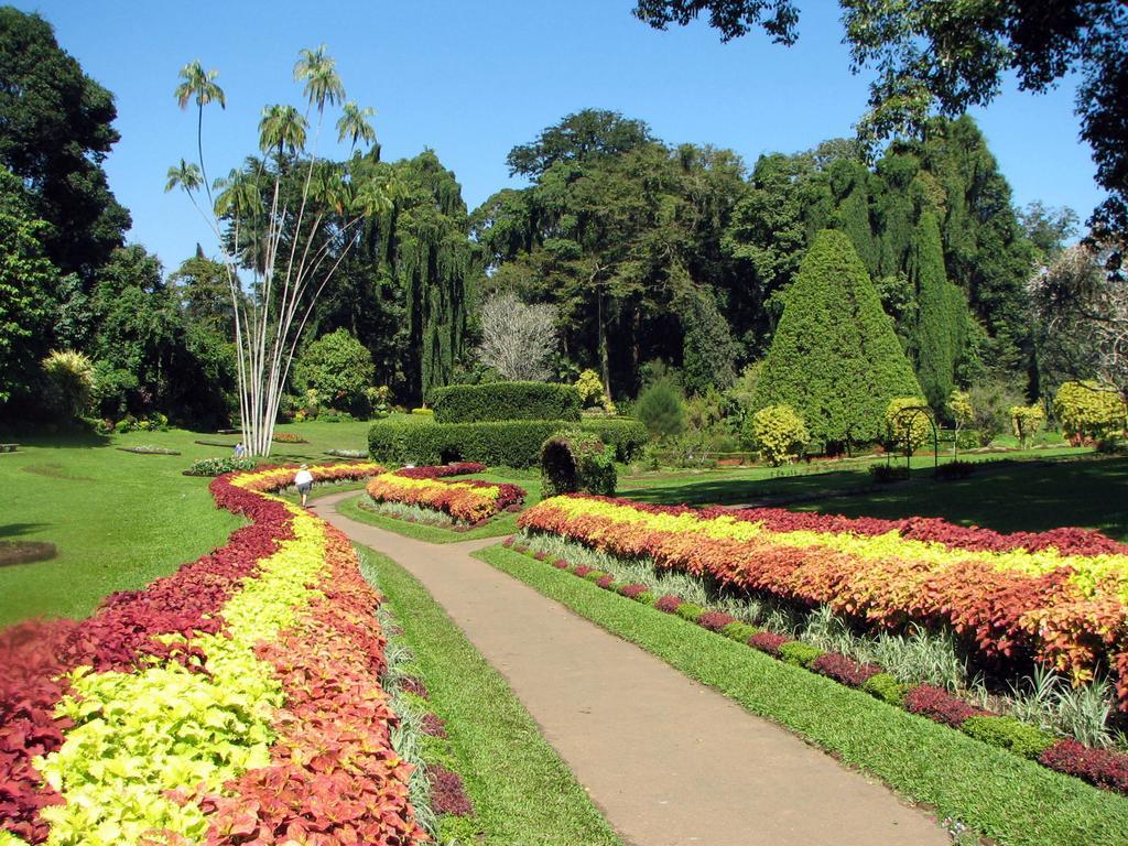 Kandy View Villa エクステリア 写真